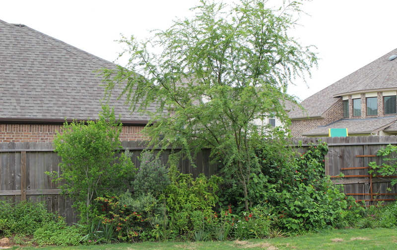 Houston left fence border April 2020